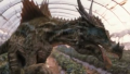 Draco2.png