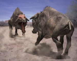Entelodon.jpg