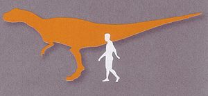Eustreptospondylus vergleich.jpg