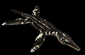 Liopleurodon.jpg