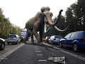Mammut.jpg