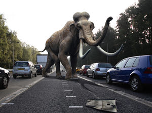 Mammut.jpg