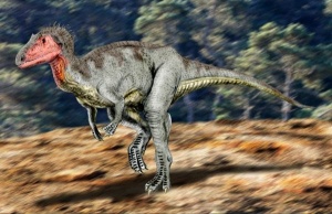 Neovenator.jpg