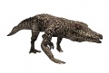 Pristichampus2.jpg