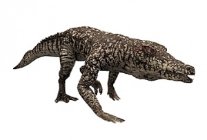 Pristichampus2.jpg