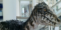 Raptor.png