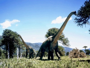 Sauroposeidon.jpg