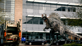 Spinosaurus