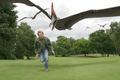 Cutter Pteranodon Golfplatz.jpg