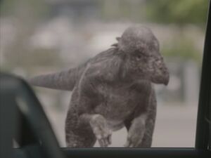 Pachycephalosaurus NW1x8-1.jpg