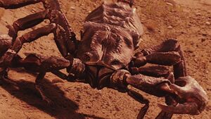 Brontoscorpio NW1x12-1.jpg