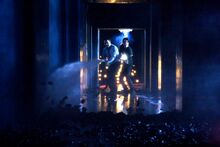 Kleiner Zukunfskäfer