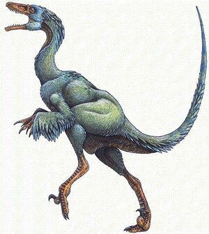 Troodon.JPG
