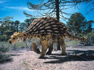 Ankylosaurus.jpg