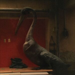 Hesperornis 1x3-2.jpg