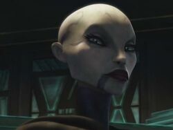 Ventress Benutzerbild.jpg